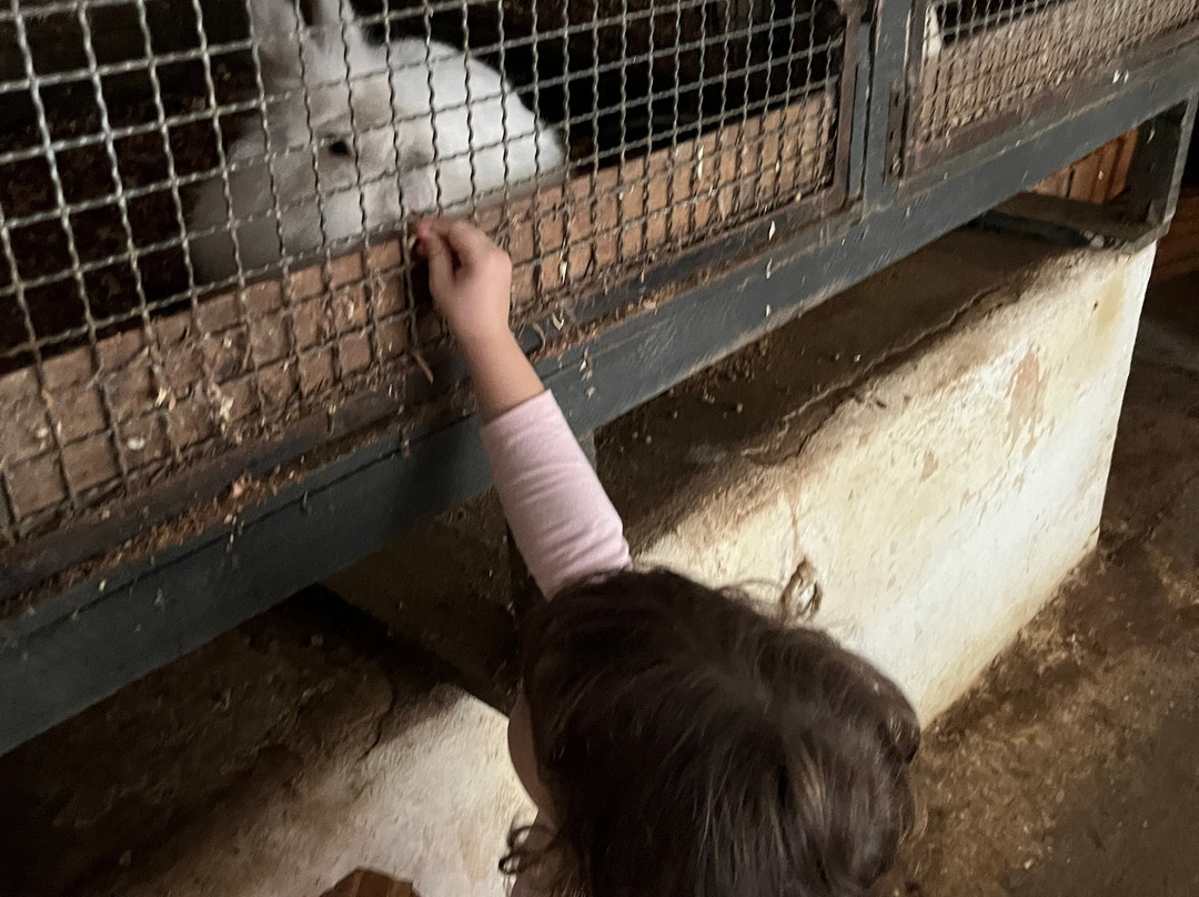 Hotel Fazenda Terra Dos Sonhos主图