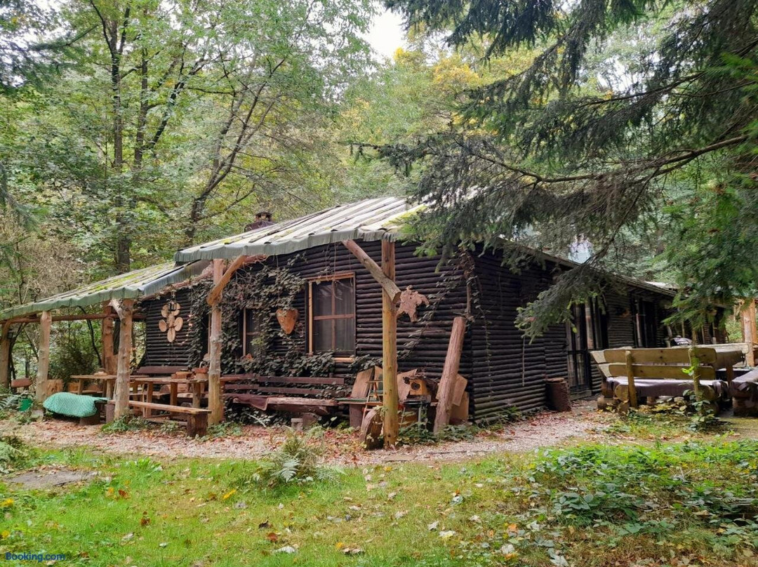 Das Wilde Auwaldhaus
