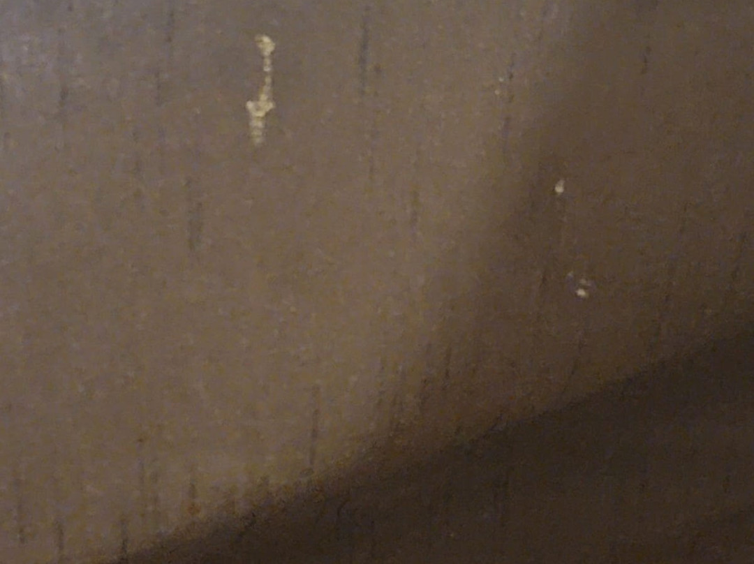 Comfort Inn New Orleans Airport South主图