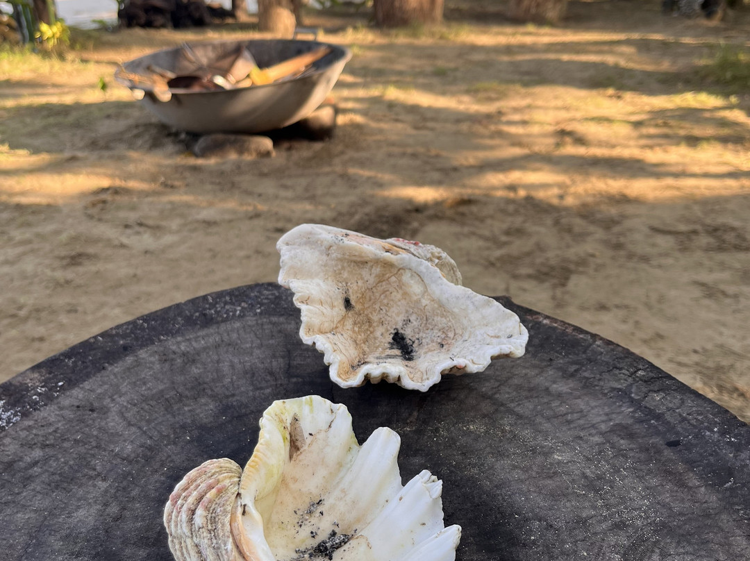 Nagtabon Beach景点图片