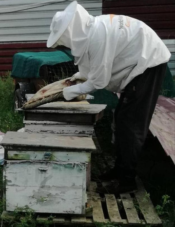 Paradise Investment Resort