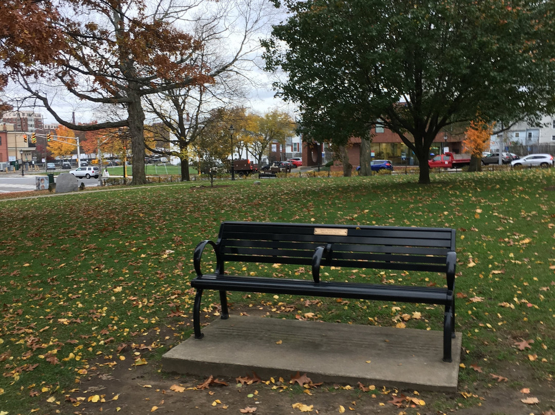 Waltham Common-沃尔瑟姆必去景点