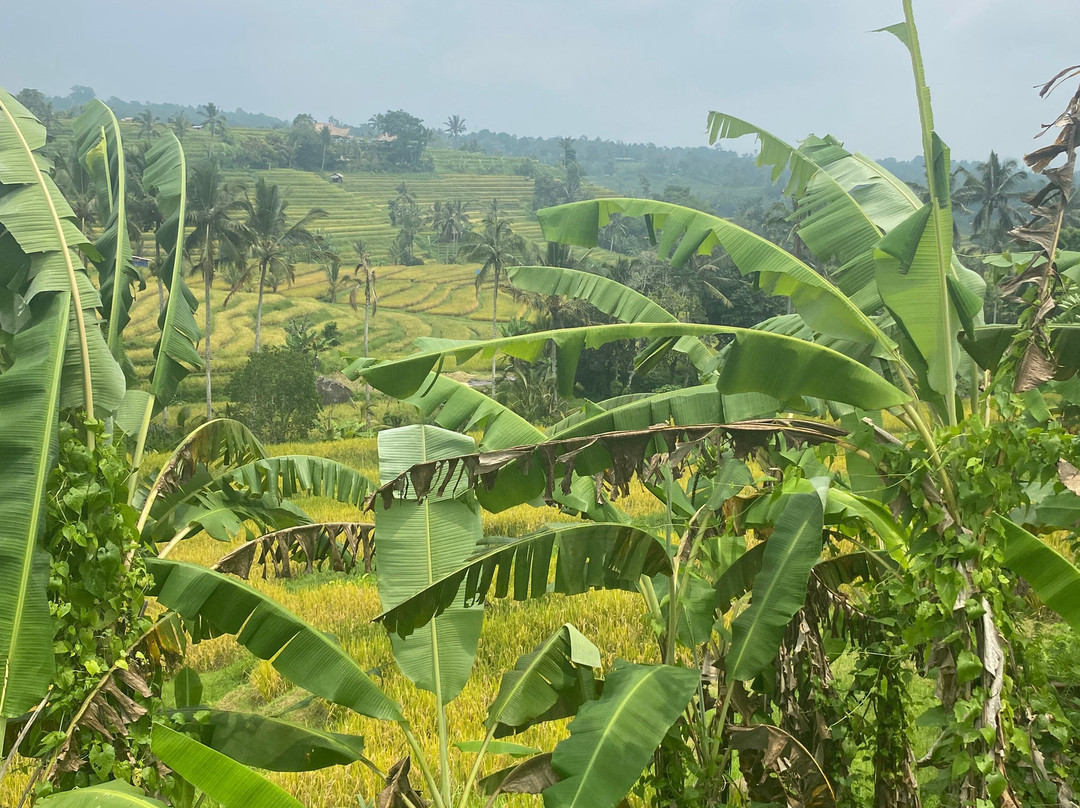 The Haere Seminyak By Astadala主图