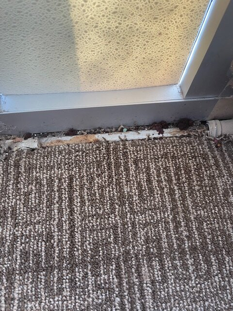 Comfort Inn & Suites Omaha Central主图