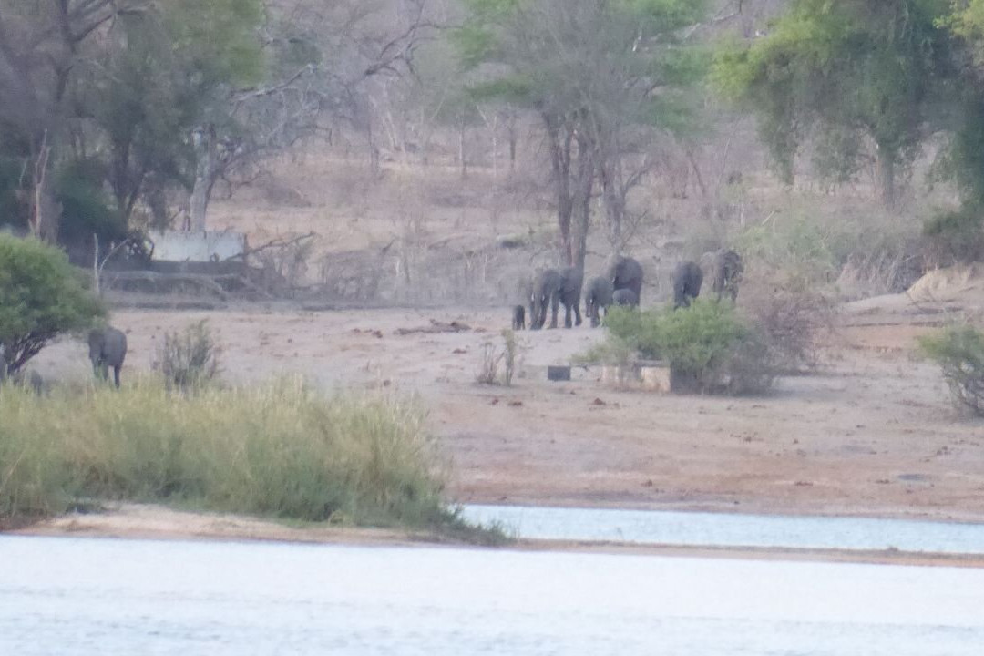 Buffalo Core Area-Bwabwata National Park必去景点