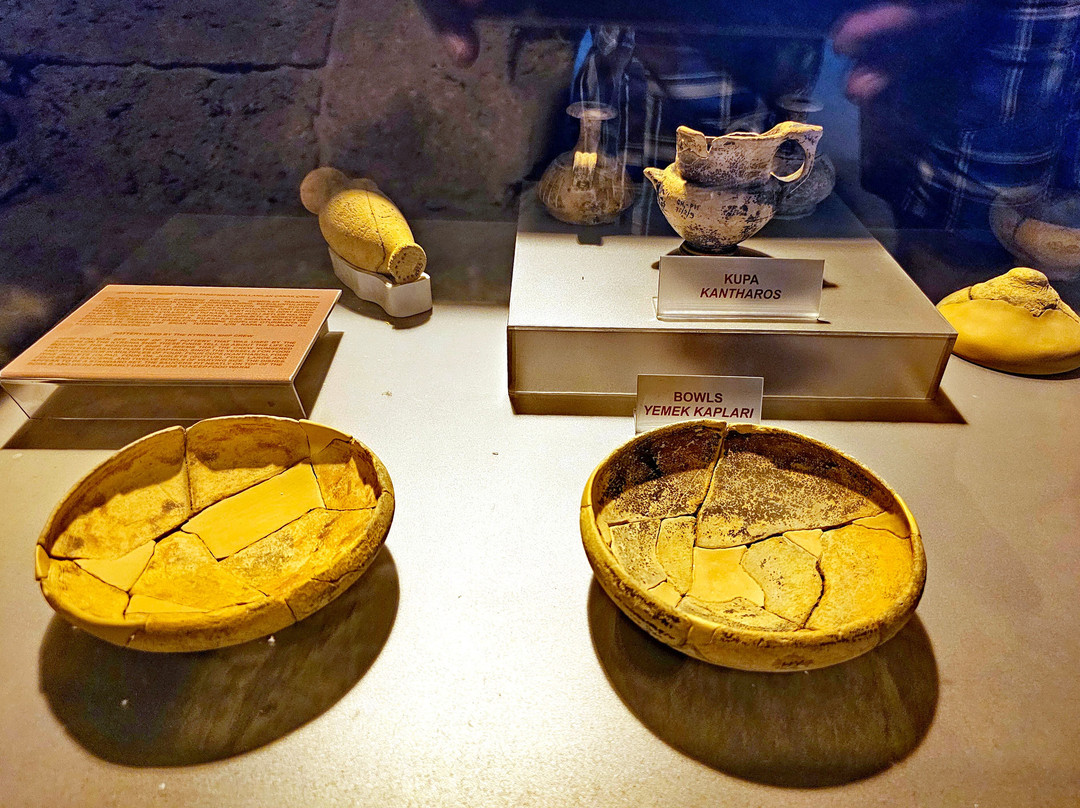 Ancient Shipwreck Museum景点图片