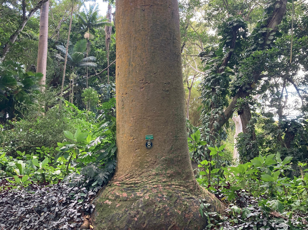 瓦西瓦植物园-瓦西瓦必去景点