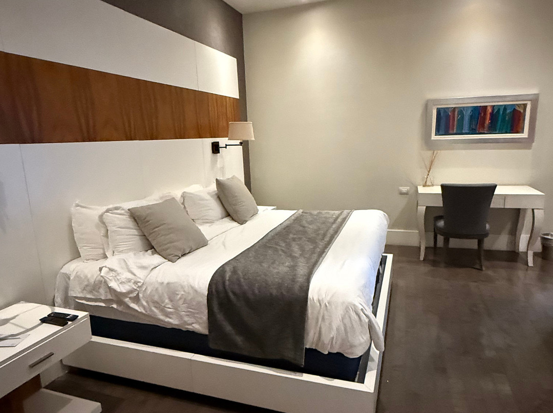 Hotel Marsella 45主图