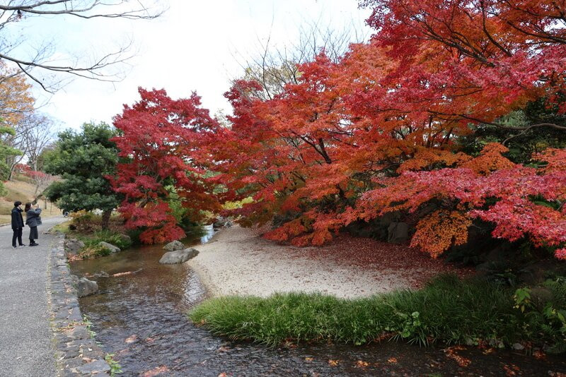Japanese Garden-吹田市必去景点