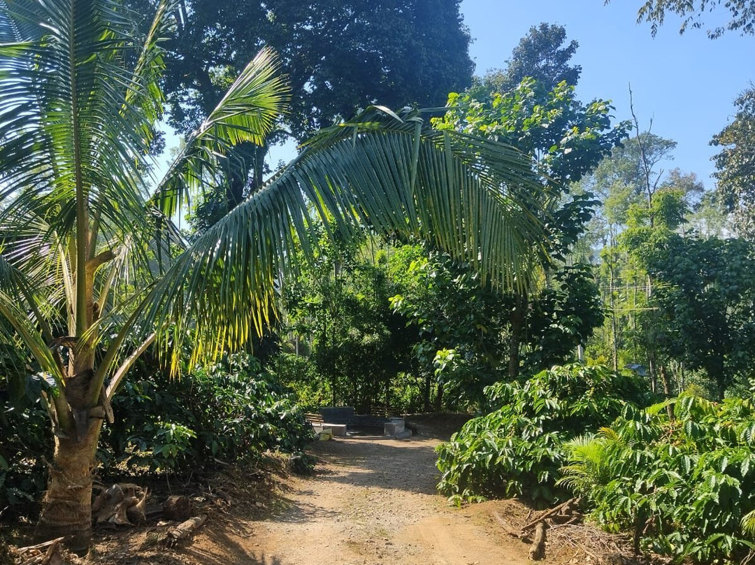 Heights Farm Stay | Coffee Estate Stay主图