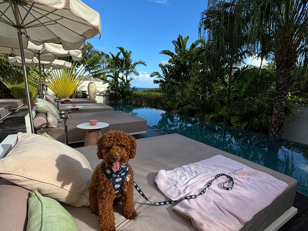 Tropical Hotel St Barth主图