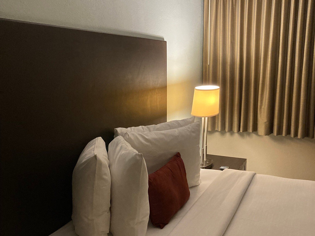 马萨诸塞大学酒店主图