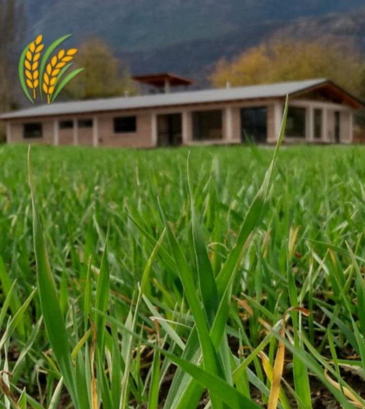 Puerto Hostel