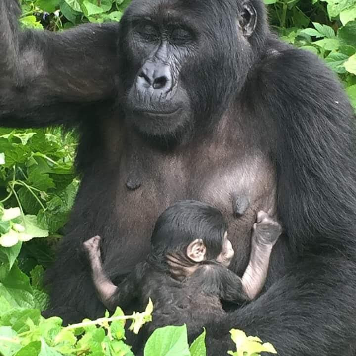 Bright Safaris Uganda-Mbale必去景点