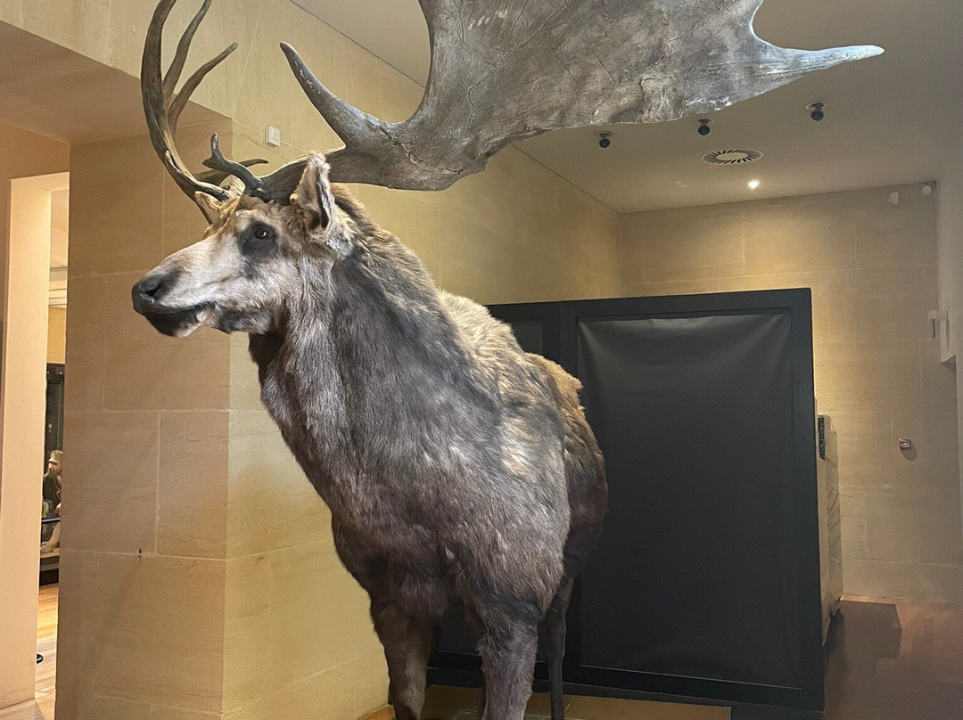 Musee National de Prehistoire景点图片
