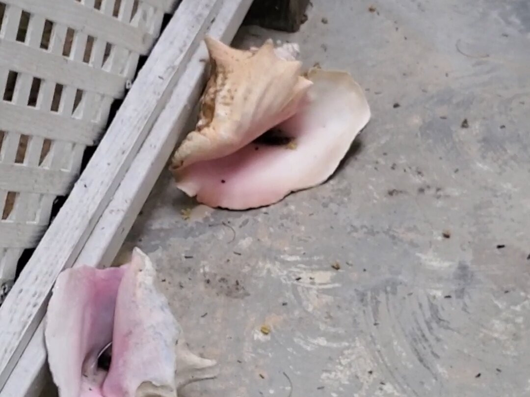 Tingum Village Hotel主图