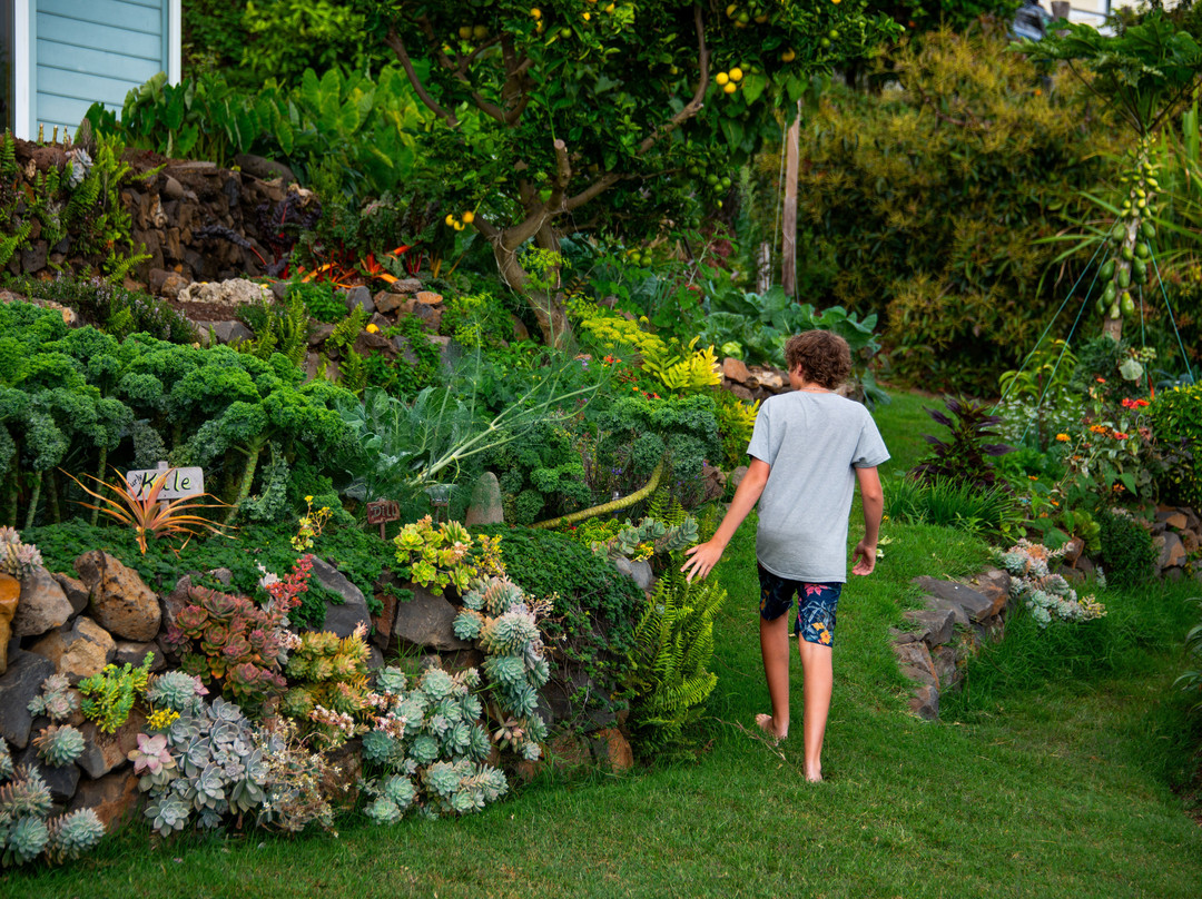 Kula Pueo Farm Tours-库拉必去景点