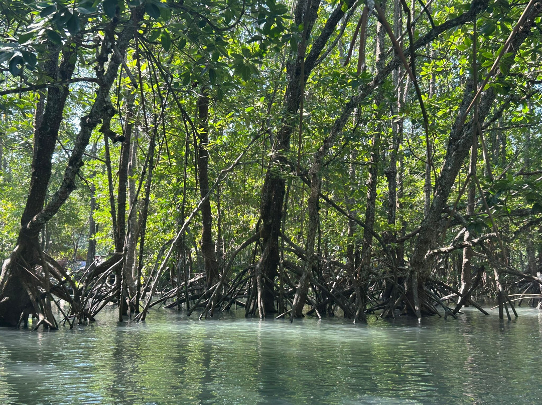 Salak Khok Kayak Station-象岛必去景点
