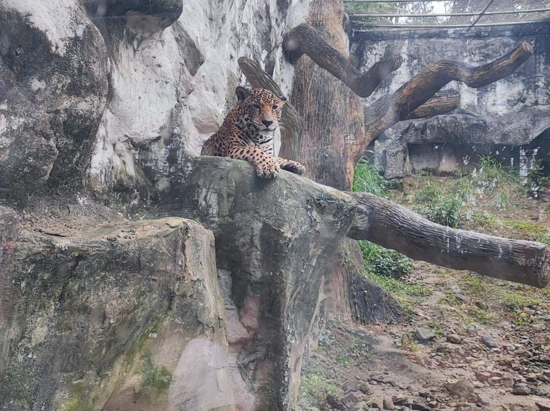 Clark Safari And Adventure Park景点图片