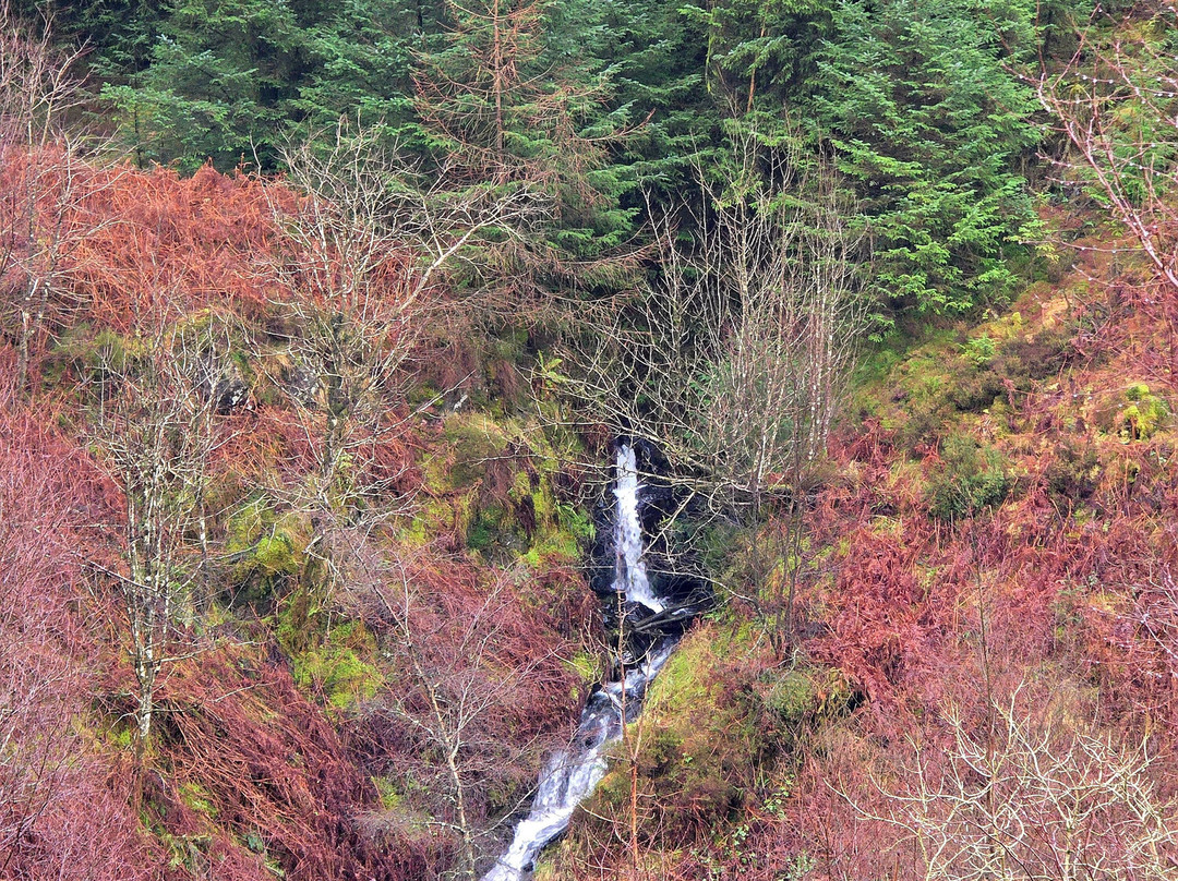Glen Of The Bar-Newton Stewart必去景点