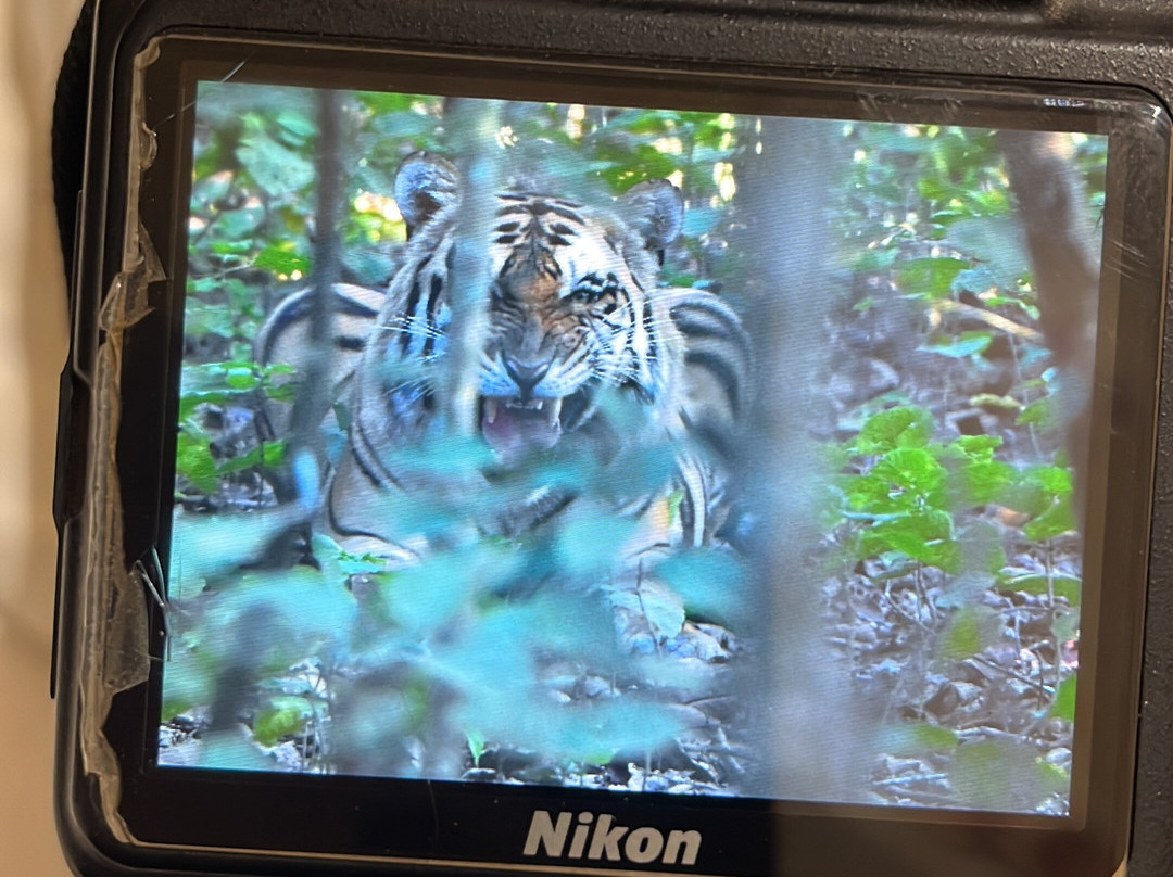 Royal Kingdom Resort主图