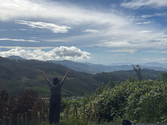 Island Divvy Tours-卡卢特勒必去景点