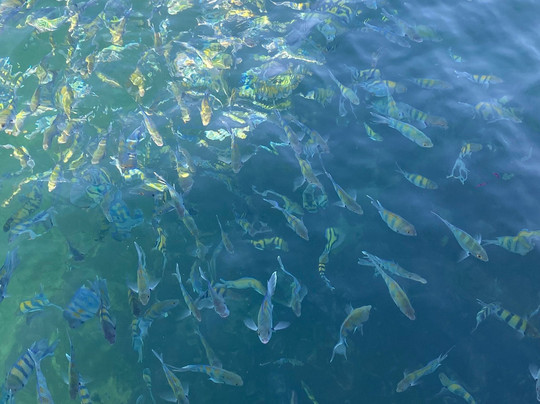 Scuba Club-卡拉奇必去景点