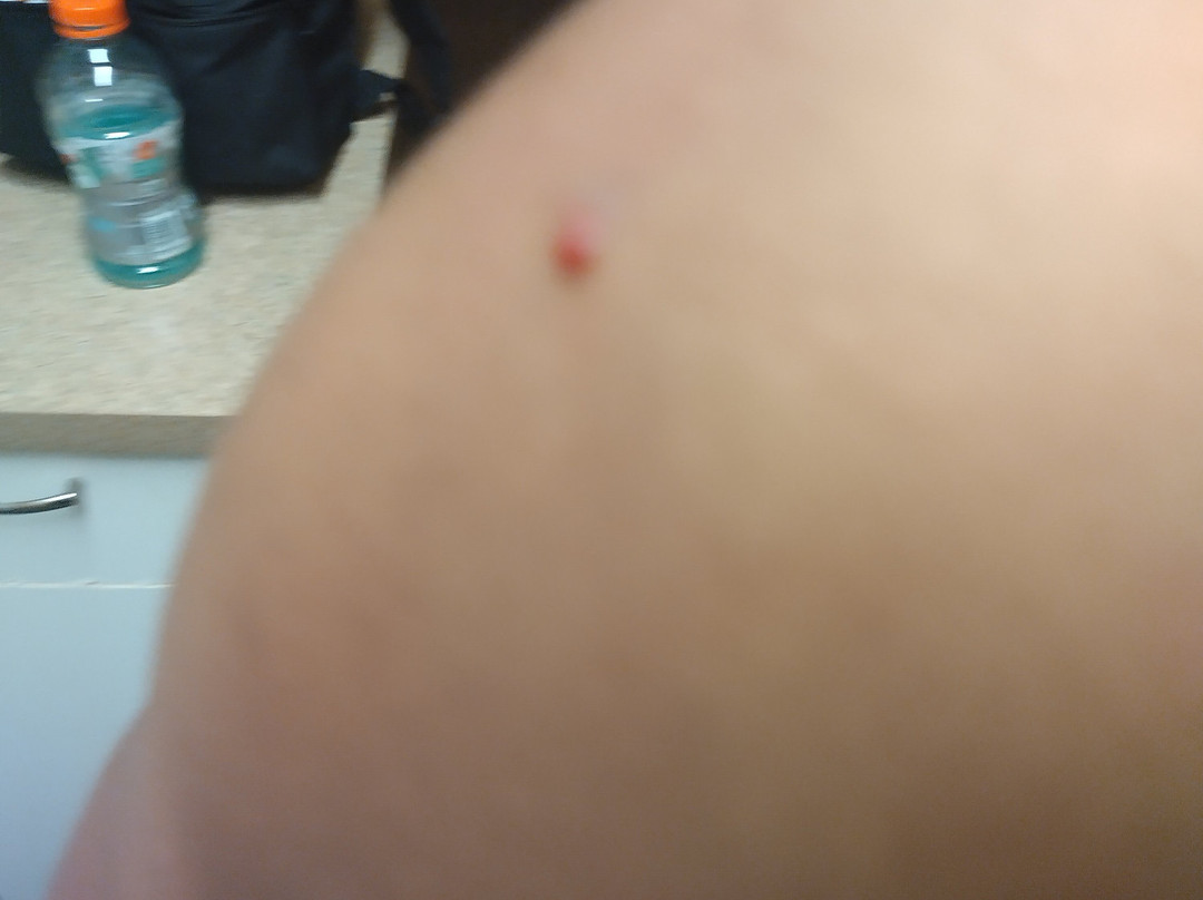 Extended Stay America - Grand Rapids - Kentwood主图