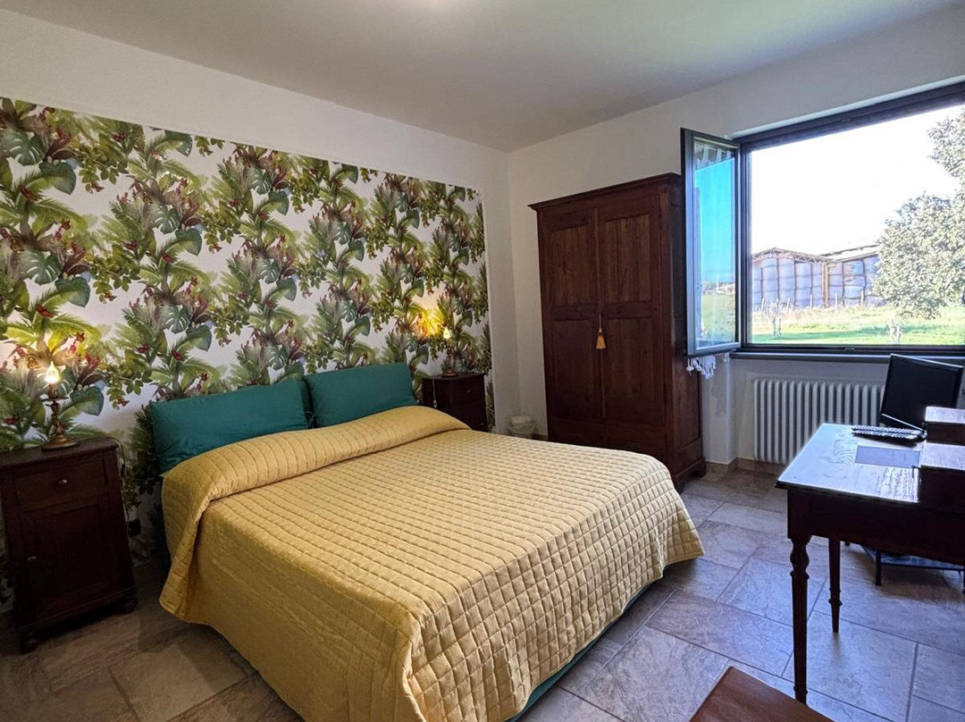 B&b  Il Papavero主图