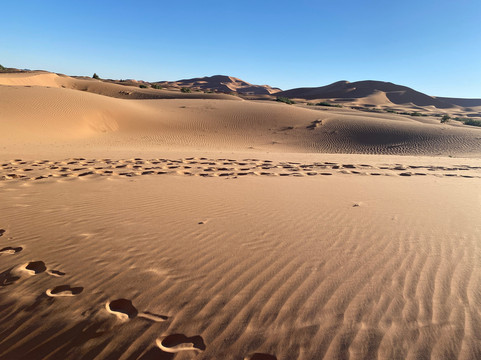 All Morocco Tours-非斯必去景点