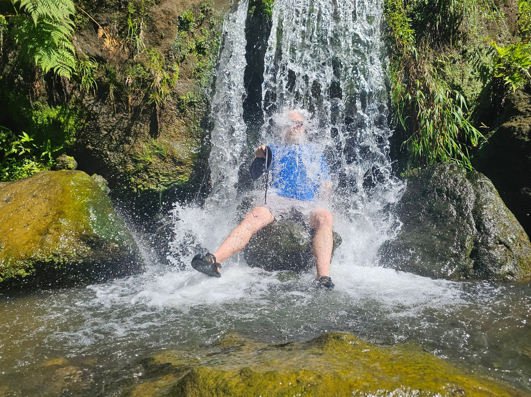 Trafalgar Falls-Morne Trois Pitons National Park必去景点
