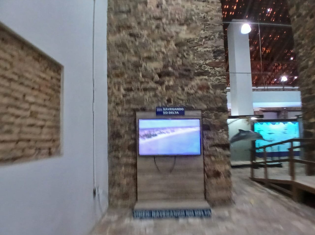 Museu Do Mar Delta Do Phb景点图片
