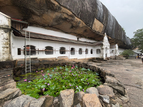 Sammy Tours-科伦坡必去景点