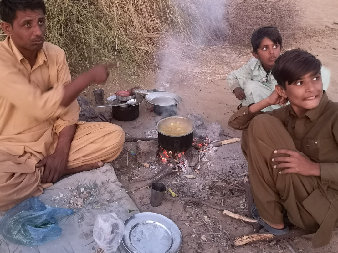 Thar Desert Tours景点图片