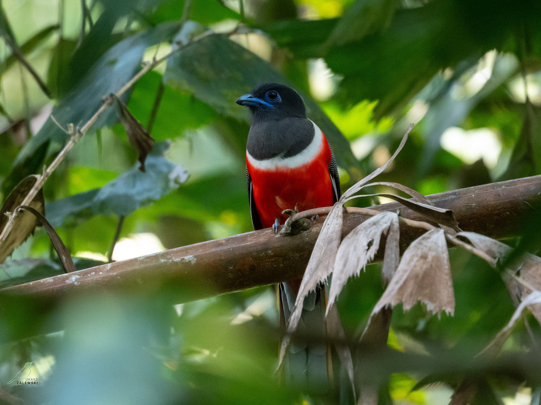 Sri Lanka Tours By Wildscape-Dunagaha必去景点