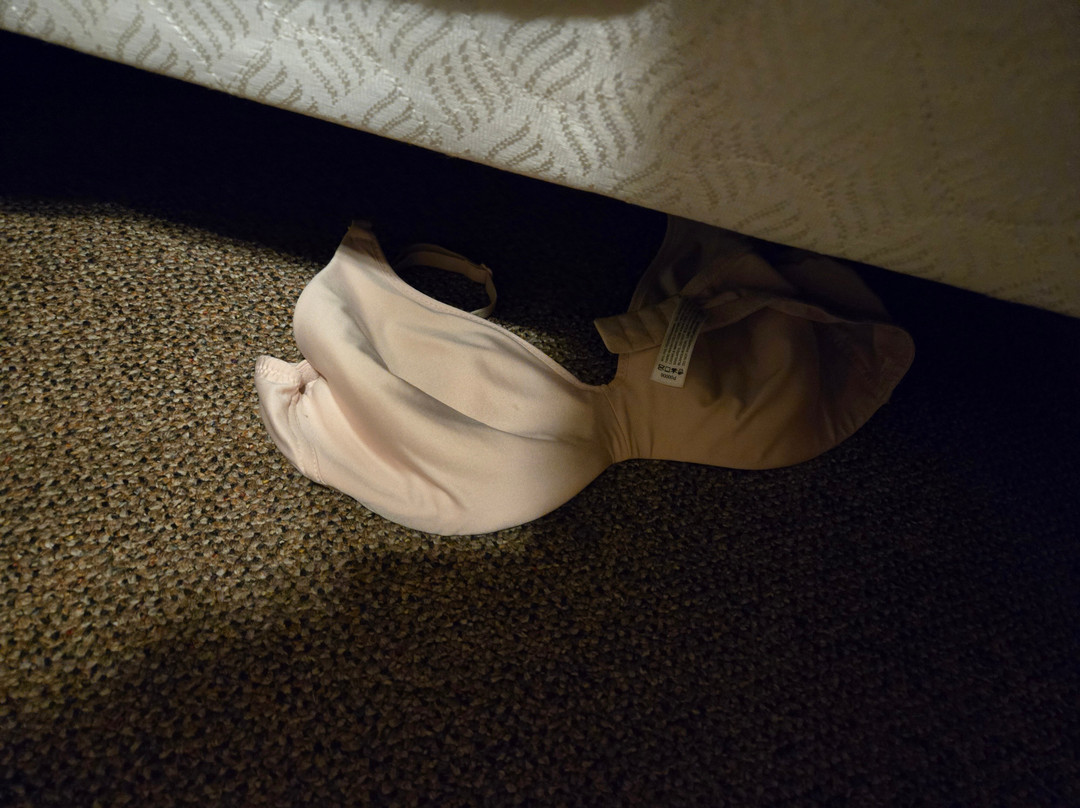 Mountain Brook Lodge主图