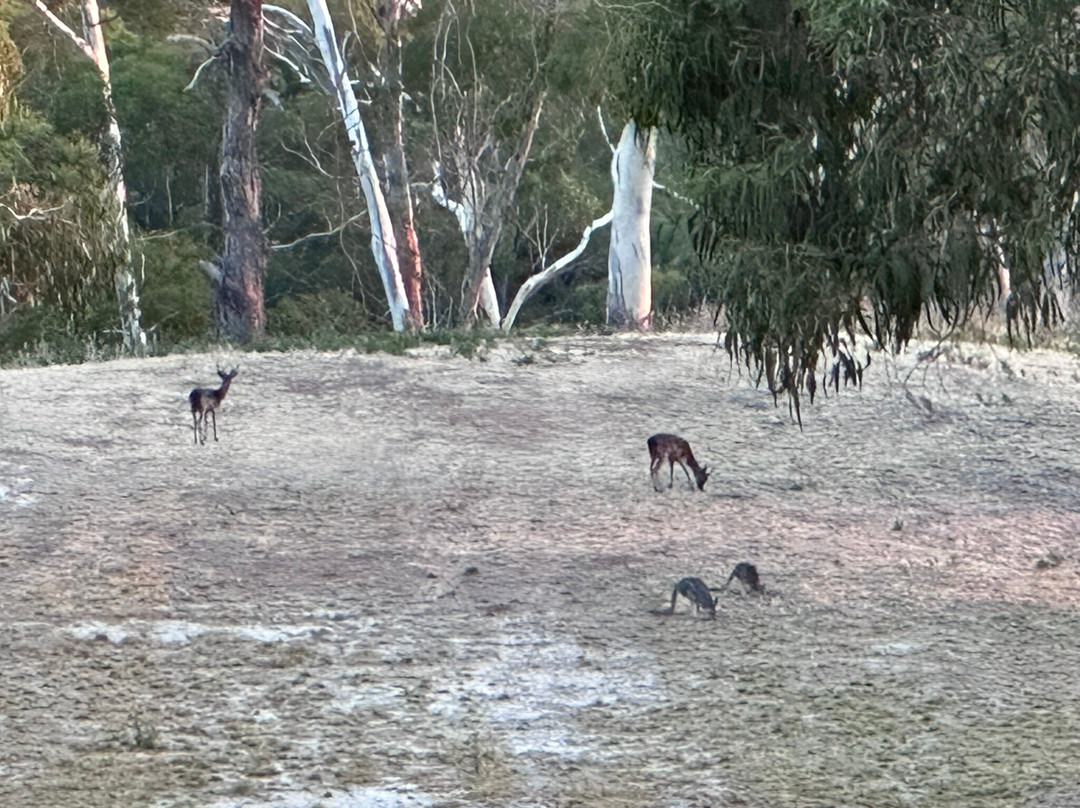 Clifftop At Hepburn主图