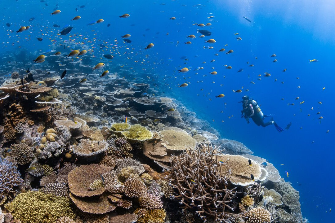 马尔代夫哈达哈岛柏悦酒店主图