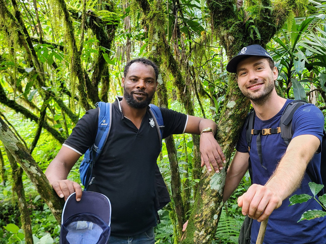 Bale Trek Ethiopia Tours景点图片