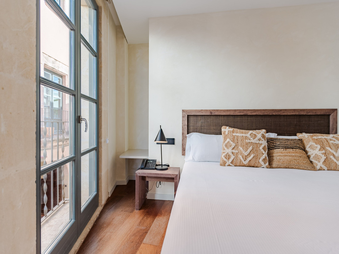Hotel Gran Claustre主图