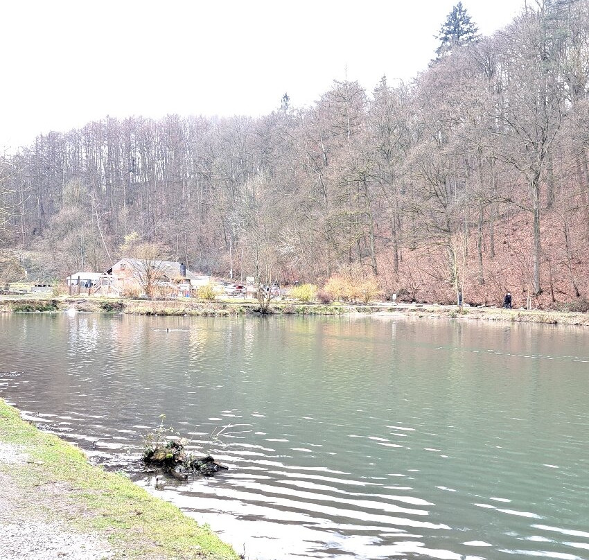 Etangs De La Julienne景点图片
