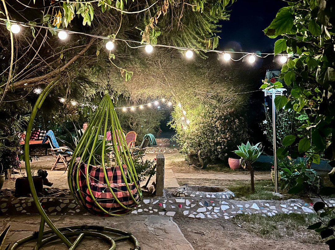 Aloepark Hotel主图