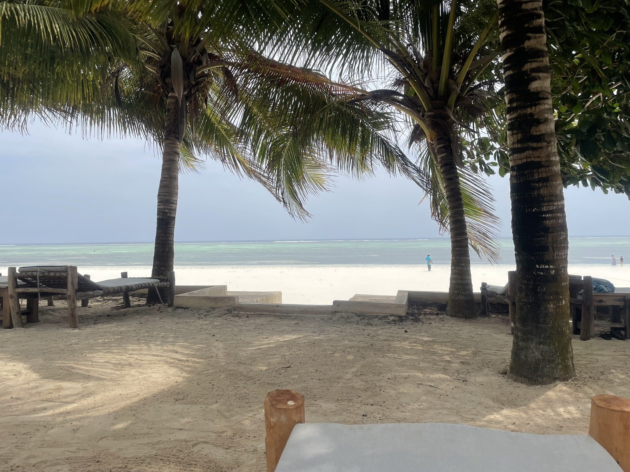 Zanzibar Magic Boutique Hotel-官方