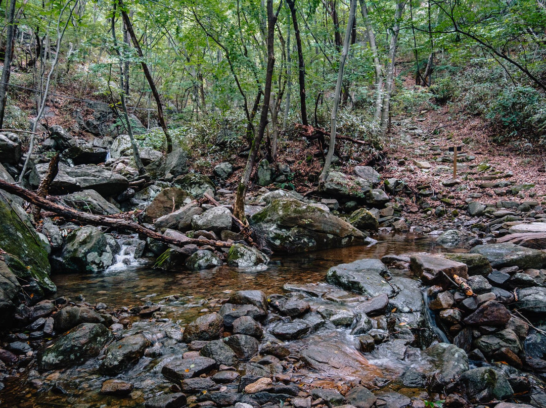 Jogyesan Mountain-顺天市必去景点