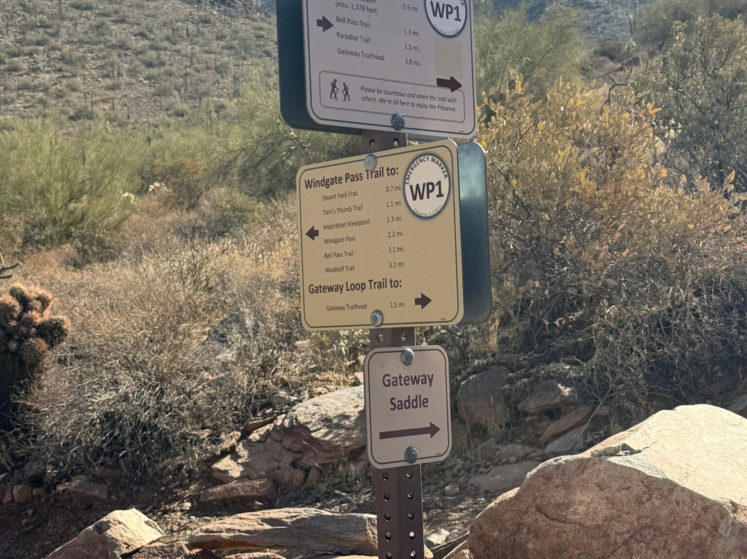 McDowell Sonoran Preserve-斯科茨代尔必去景点