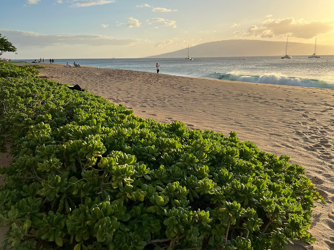 Kaanapali Beach Walk-卡纳帕利必去景点