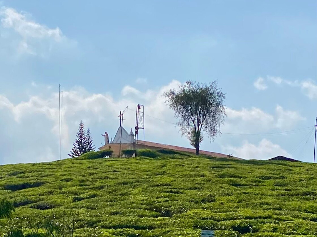 Kochi Holidays - Kochi Tours And Travels景点图片
