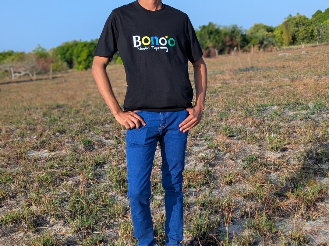 Bongo Trips-Kigamboni必去景点