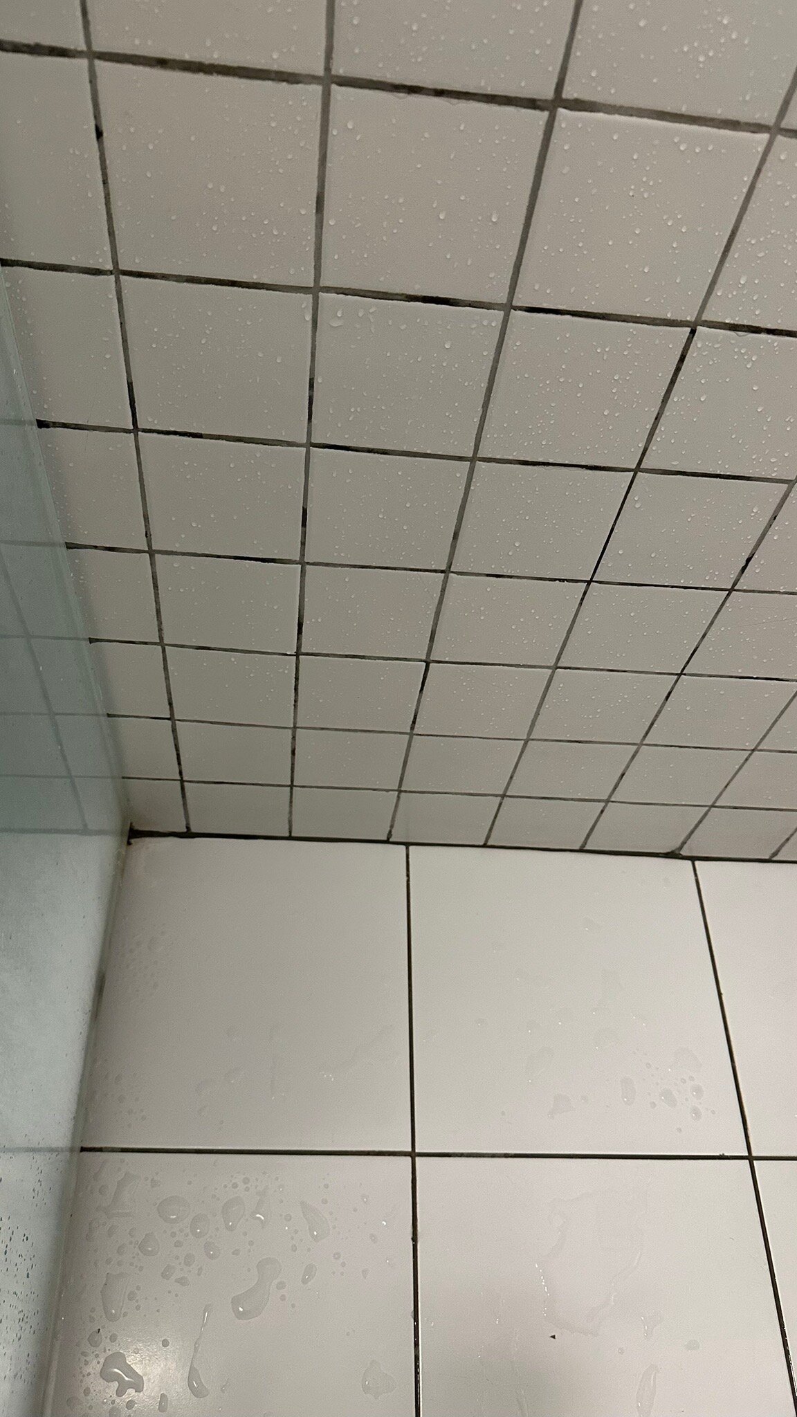 Ibis Teresina-官方