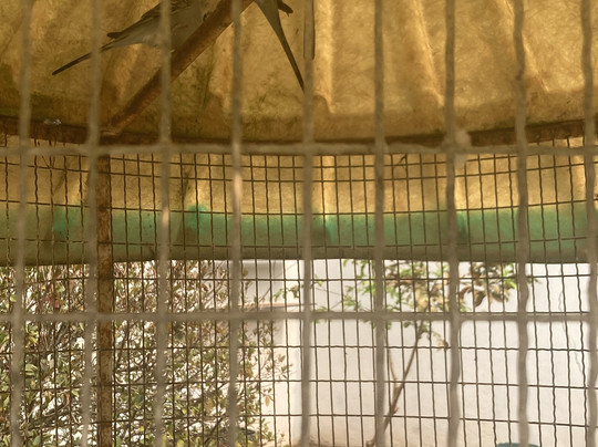 Pousada Nossa Terra主图